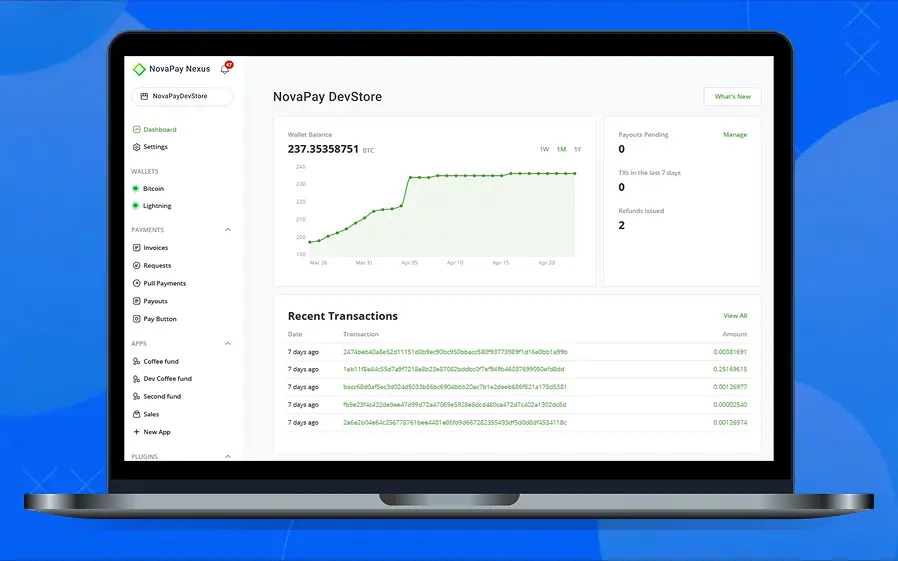 NovaPay Nexus